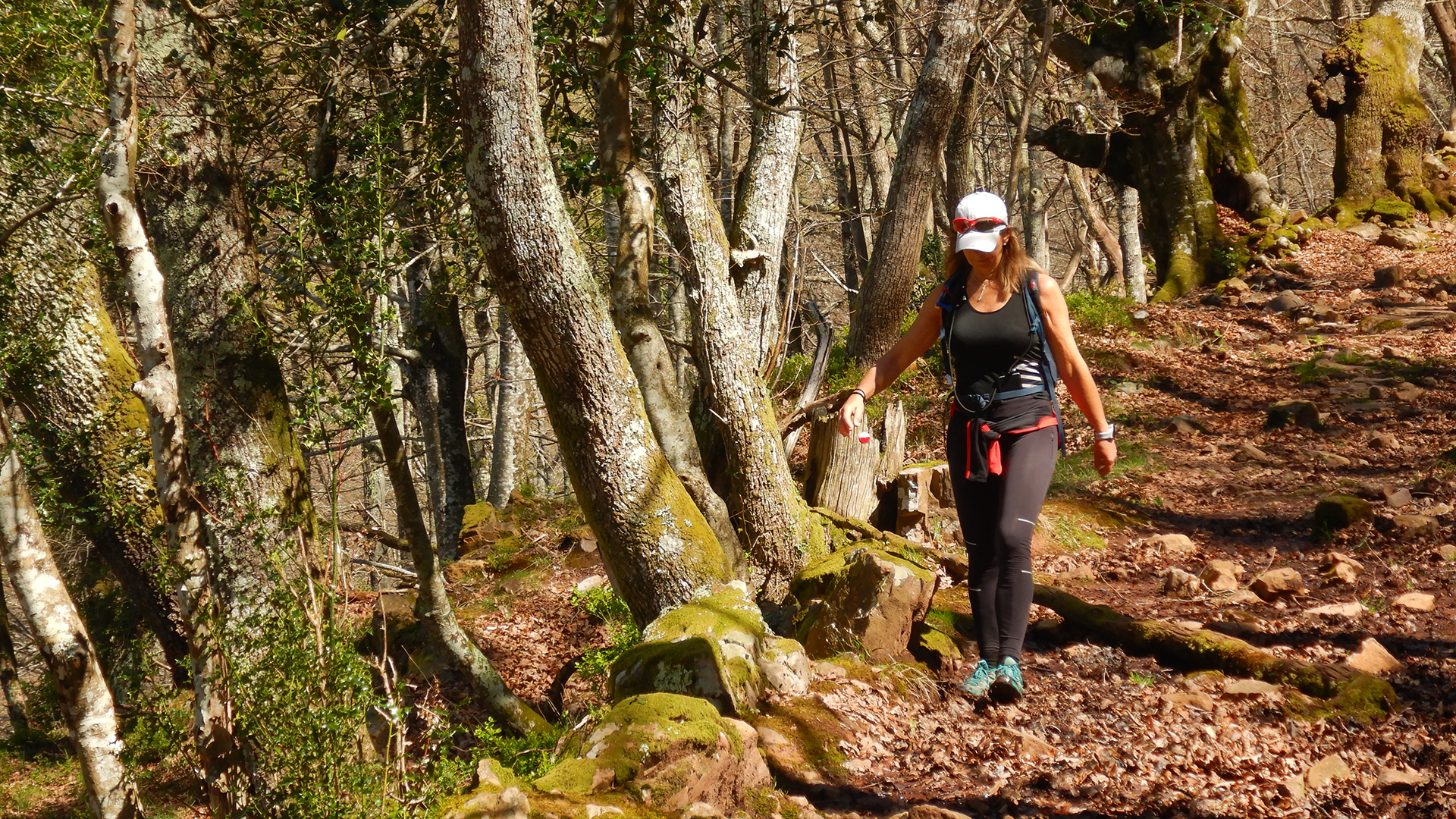 Alto de la Guarda - PN Saja-Besaya