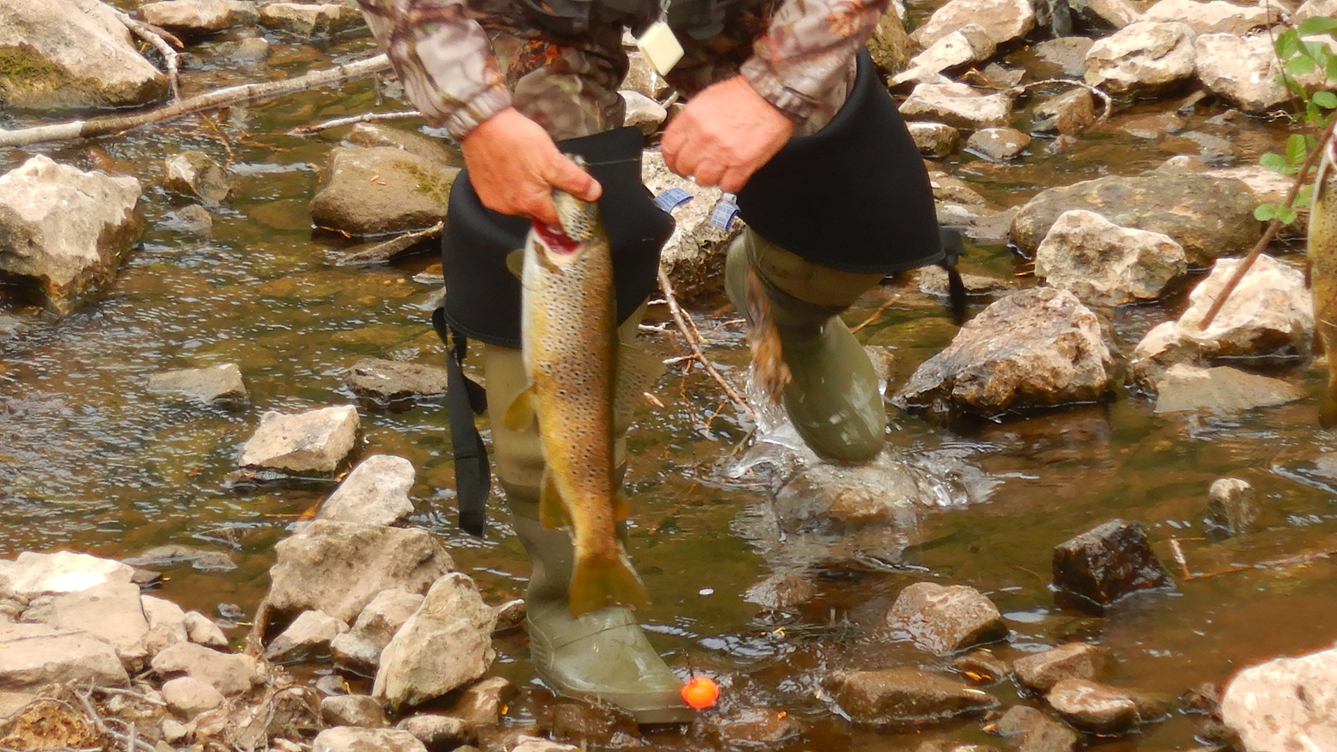 Hoces del Ebro- Senda de los chozos de Estilla